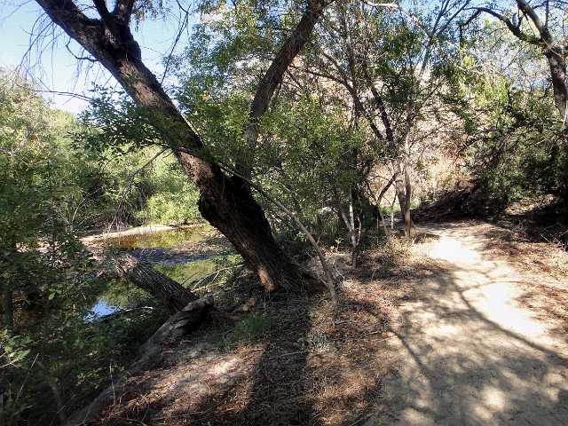 DSC02230